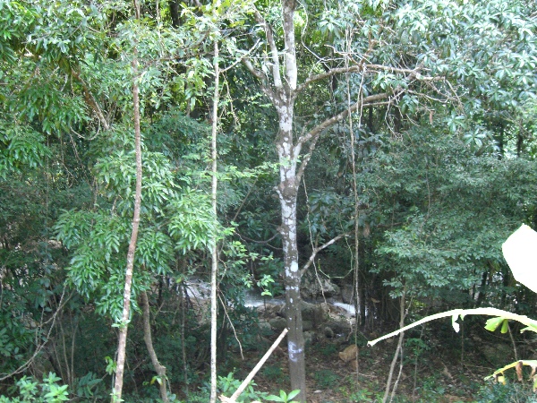 124.jpgw600h450