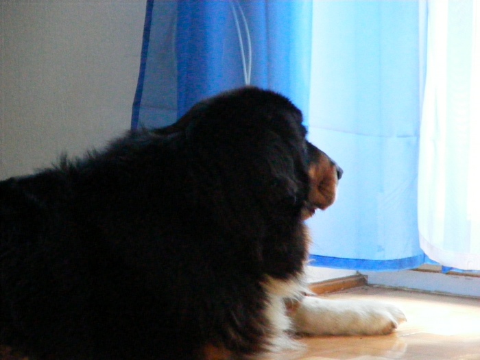 DSCF1002.JPG