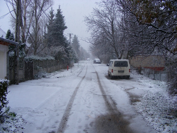 DSCF1006.JPG