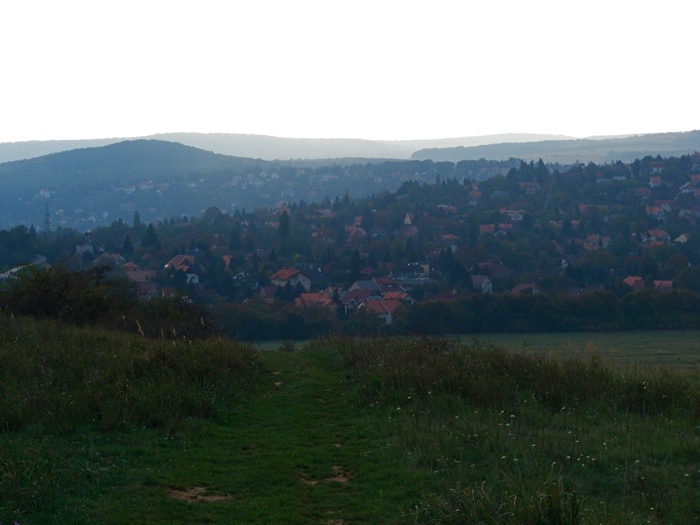 DSCF1007.JPG