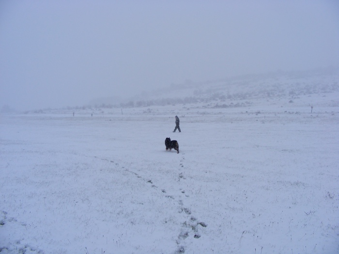 DSCF1009.JPG
