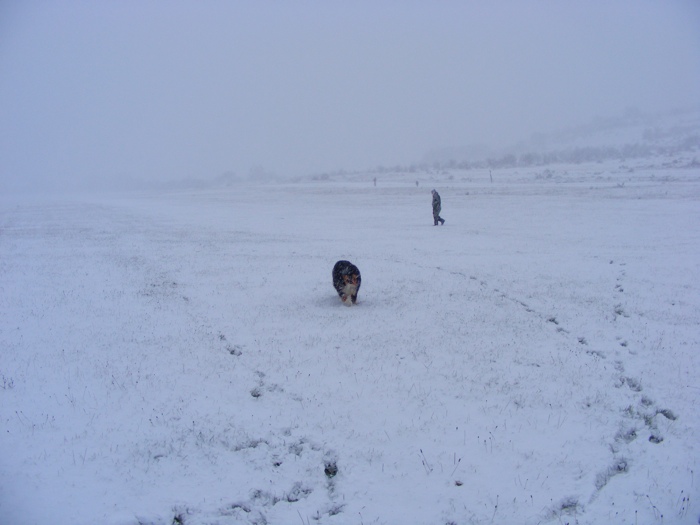 DSCF1010.JPG