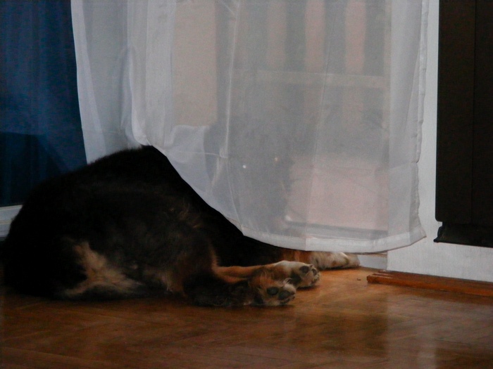 DSCF1020.JPG