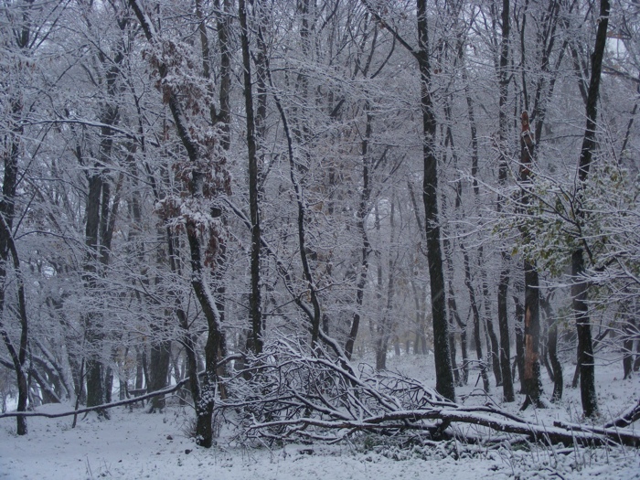 DSCF1027.JPG