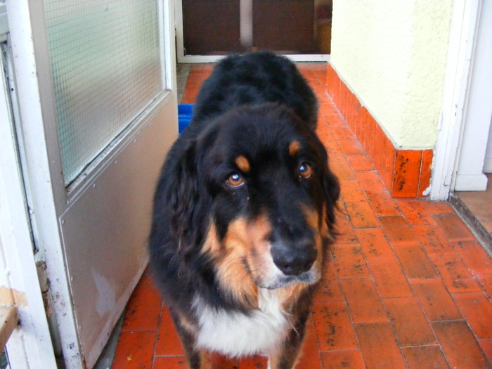 DSCF1029.JPG