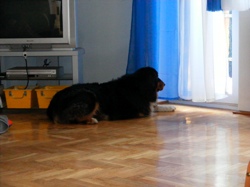 DSCF1001.JPG