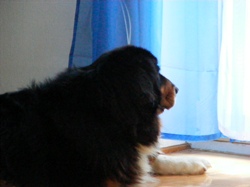 DSCF1002.JPG