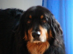 DSCF1003.JPG