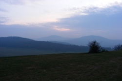 DSCF1004.JPG