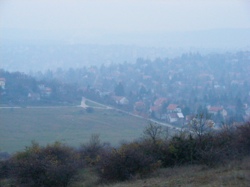 DSCF1010.JPG