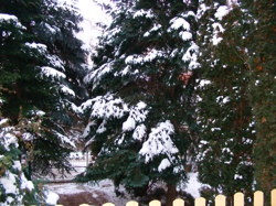 DSCF1015.JPG