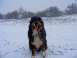 DSCF1020.JPG