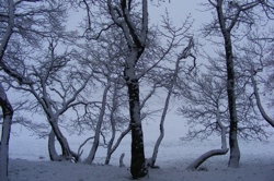 DSCF1023.JPG