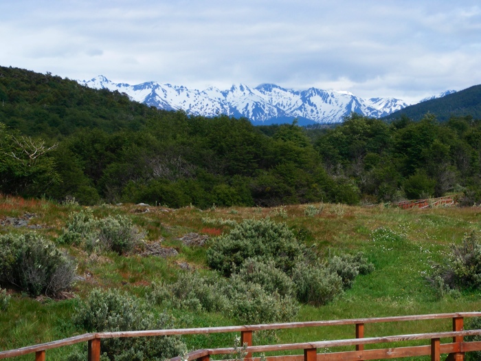 DSCF1029.JPG