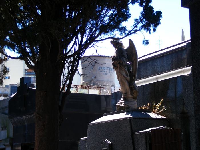 DSCF1031.JPG