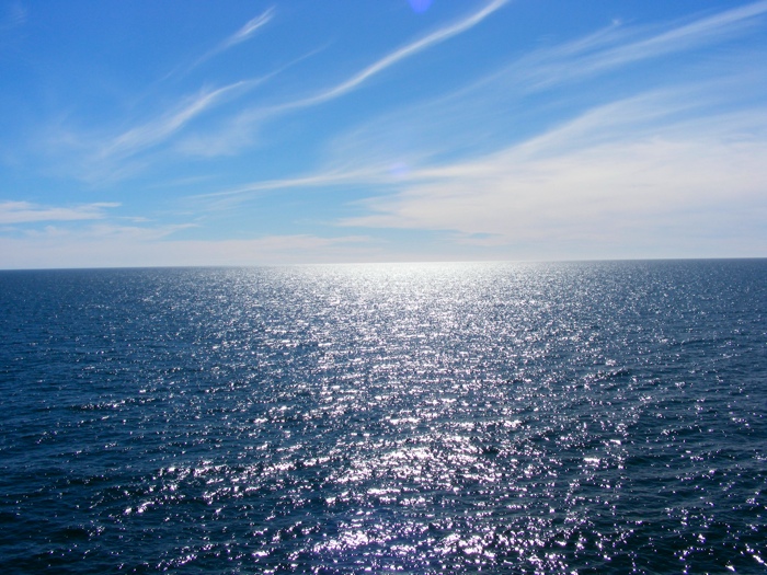 DSCF1131.JPG