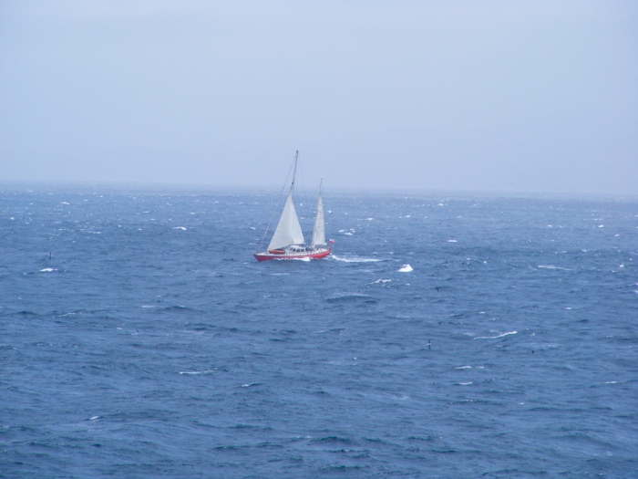 DSCF1137.JPG