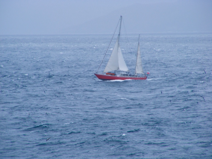 DSCF1141.JPG