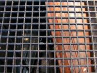 DSCF1003.JPG