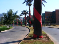 DSCF1010.JPG