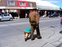 DSCF1014.JPG