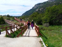 DSCF1018.JPG