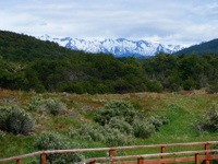 DSCF1029.JPG
