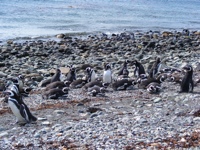 DSCF1034.JPG