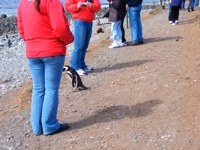 DSCF1046.JPG