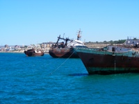 DSCF1114.JPG
