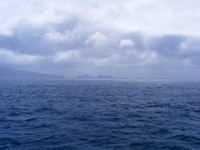 DSCF1136.JPG