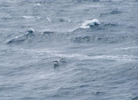 DSCF1167.JPG