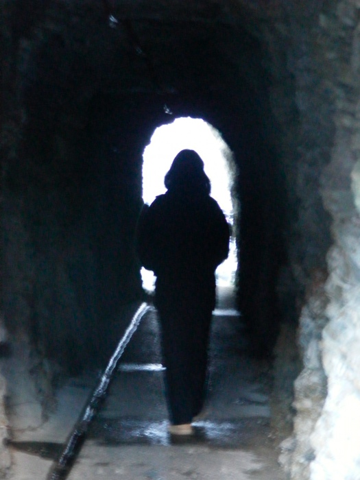DSCF1104.JPG