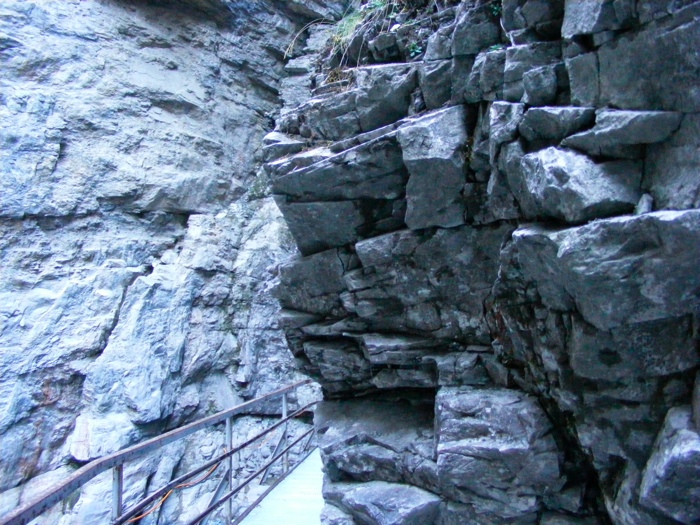 DSCF1113.JPG