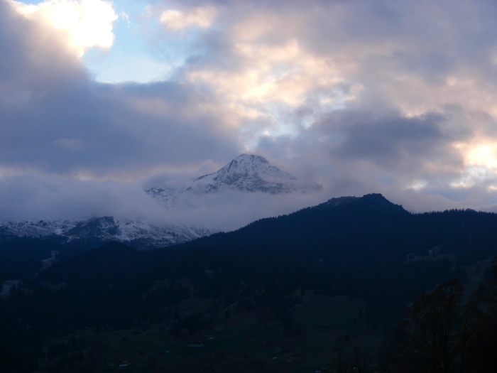 DSCF1226.JPG