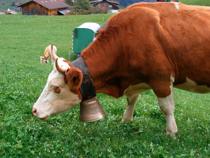 DSCF1252.JPG