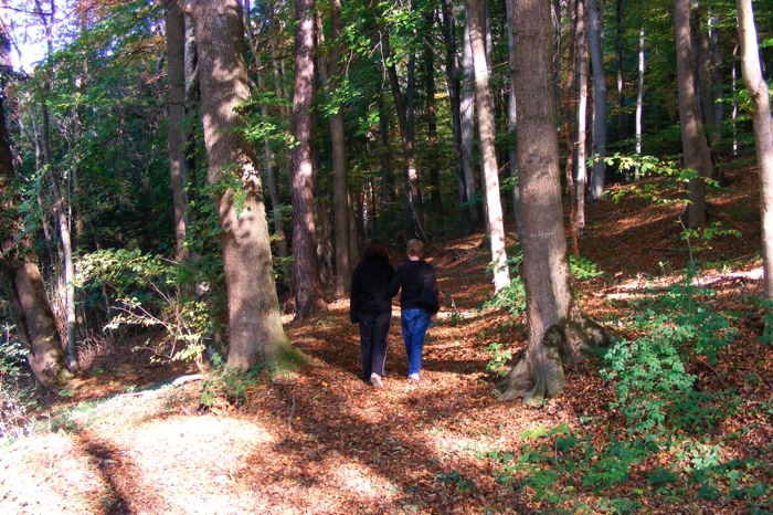 DSCF1267.JPG
