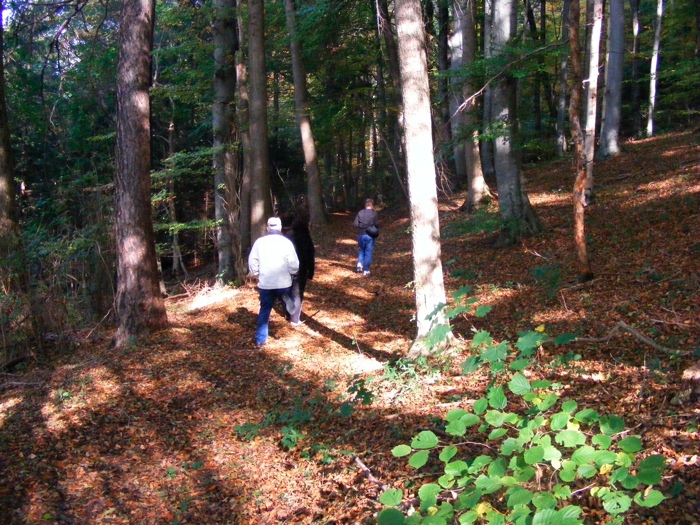 DSCF1268.JPG