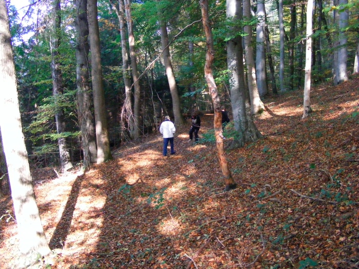 DSCF1269.JPG