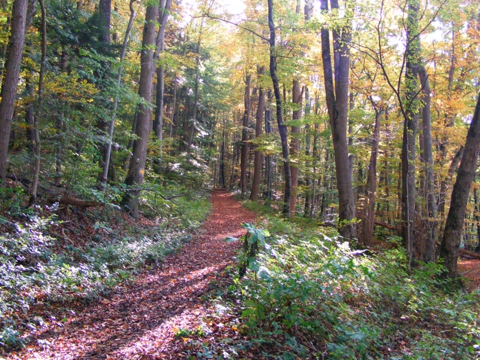 DSCF1272.JPG