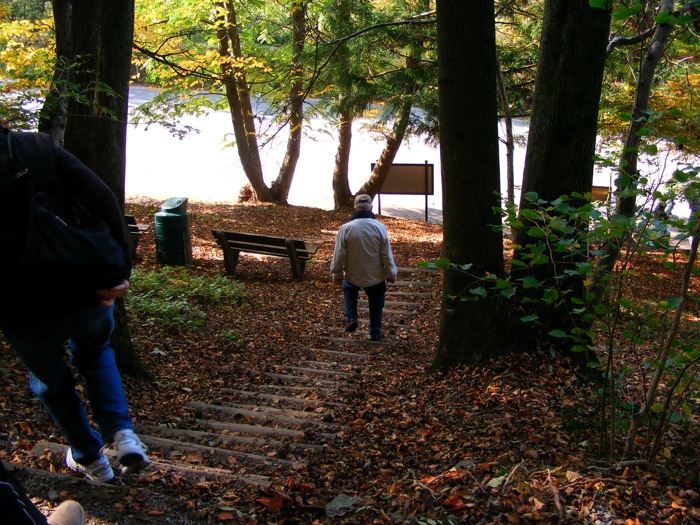 DSCF1273.JPG