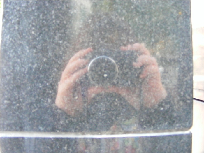 DSCF1295.JPG