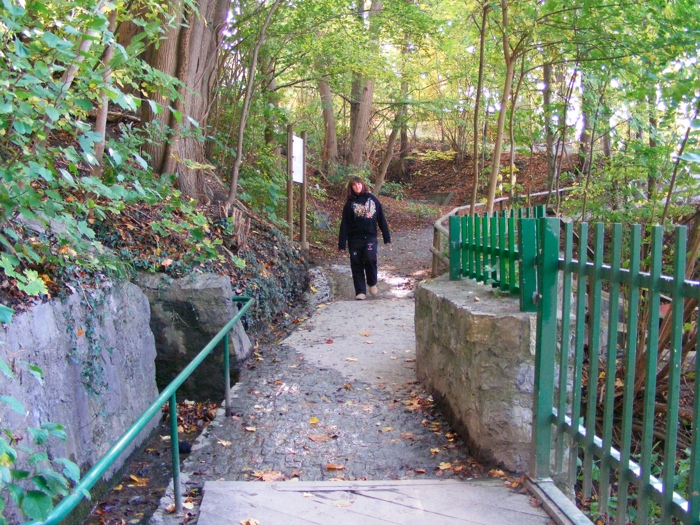 DSCF1308.JPG