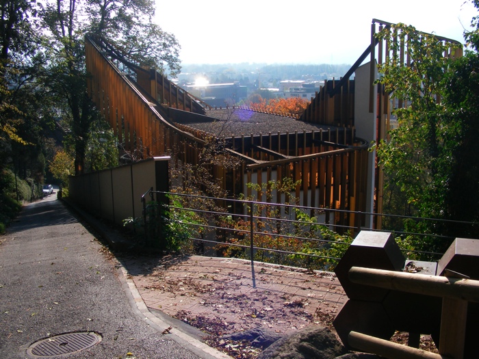 DSCF1310.JPG
