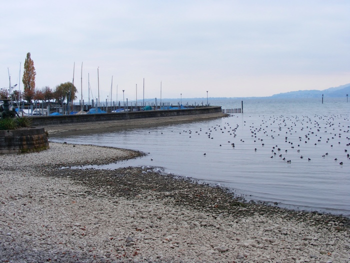 DSCF1330.JPG