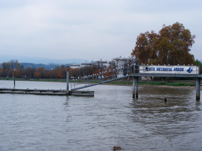 DSCF1335.JPG