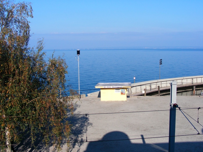 DSCF1354.JPG