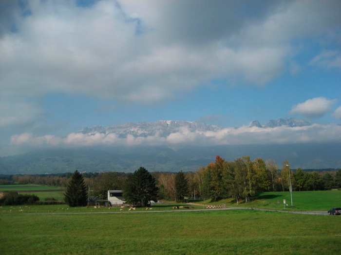IMG_0315.JPG