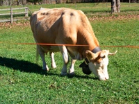 DSCF1090.JPG