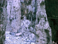 DSCF1124.JPG